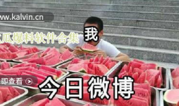 热门吃瓜视频爆料软件下载,下载攻略与使用心得