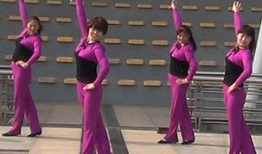 广场舞视频大全免费下载,舞动健康，乐享生活